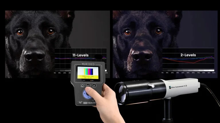 چرا باید در پروژههای حرفهای از ویدئو پروژکتورهای با دقت رنگ بالا استفاده کرد؟